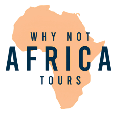 Why Not Africa Tours