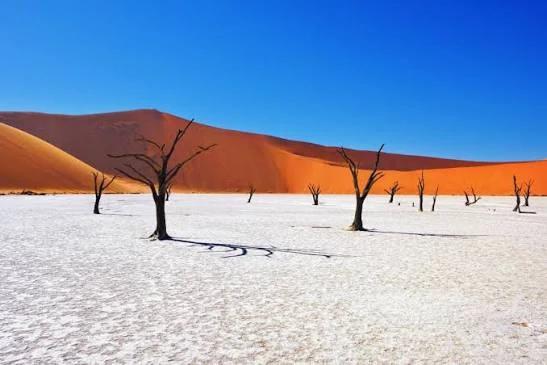 Dead trees and orange dunes at Deadvlei