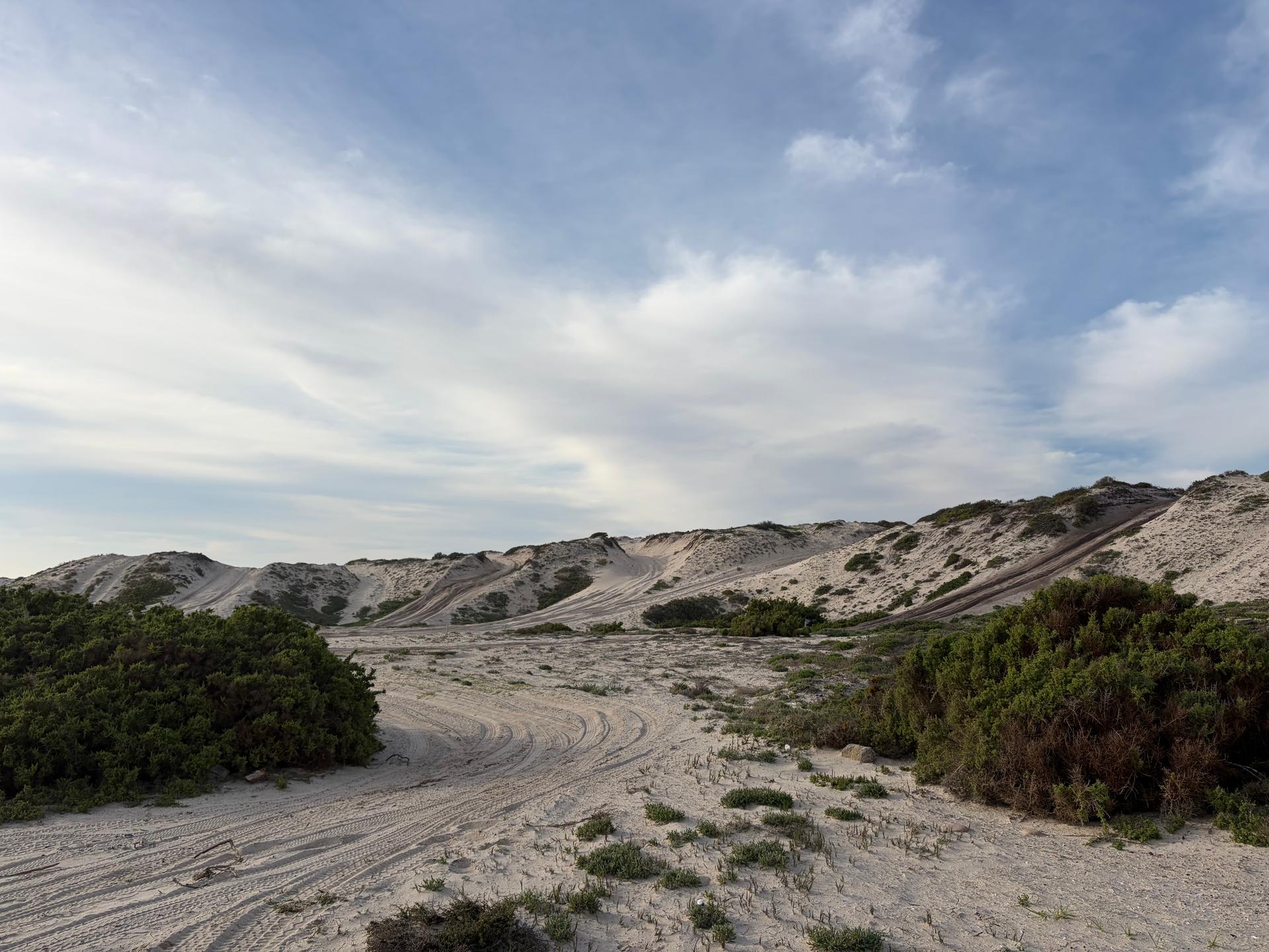 West Coast: Salt & Sand 4×4 Lodge Tour gallery photo 14