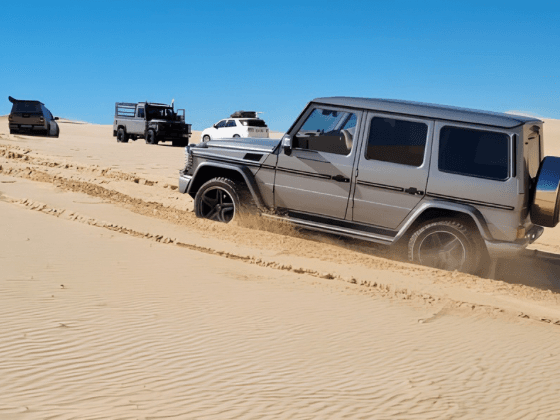 West Coast: Salt & Sand 4×4 Lodge Tour gallery photo 11