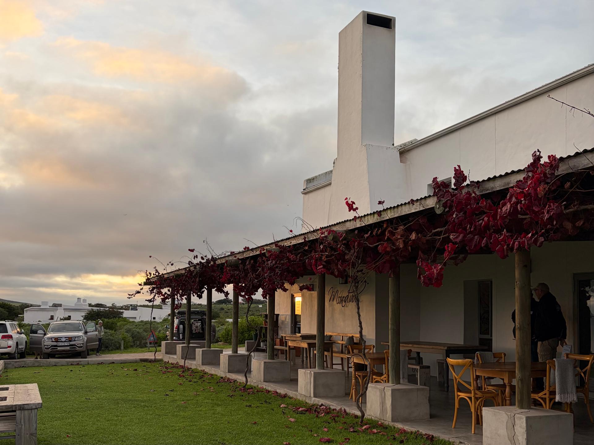 West Coast: Salt & Sand 4×4 Lodge Tour gallery photo 12