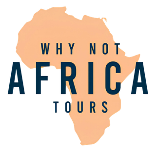 Why Not Africa Tours