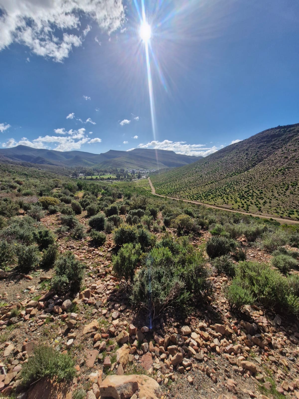 Cederberg landscape on a guided lodge tour