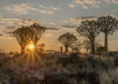 Richtersveld 5-Day Camp Tour