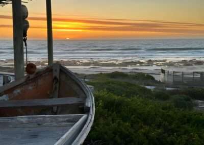 West Coast 7-Day Flower 4×4 Tour 2026