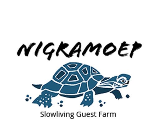 Why not africa tours 0004 nigramoep