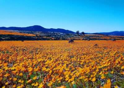 Namaqua Eco Trail Pella To Port Nolloth 7-Day Tour