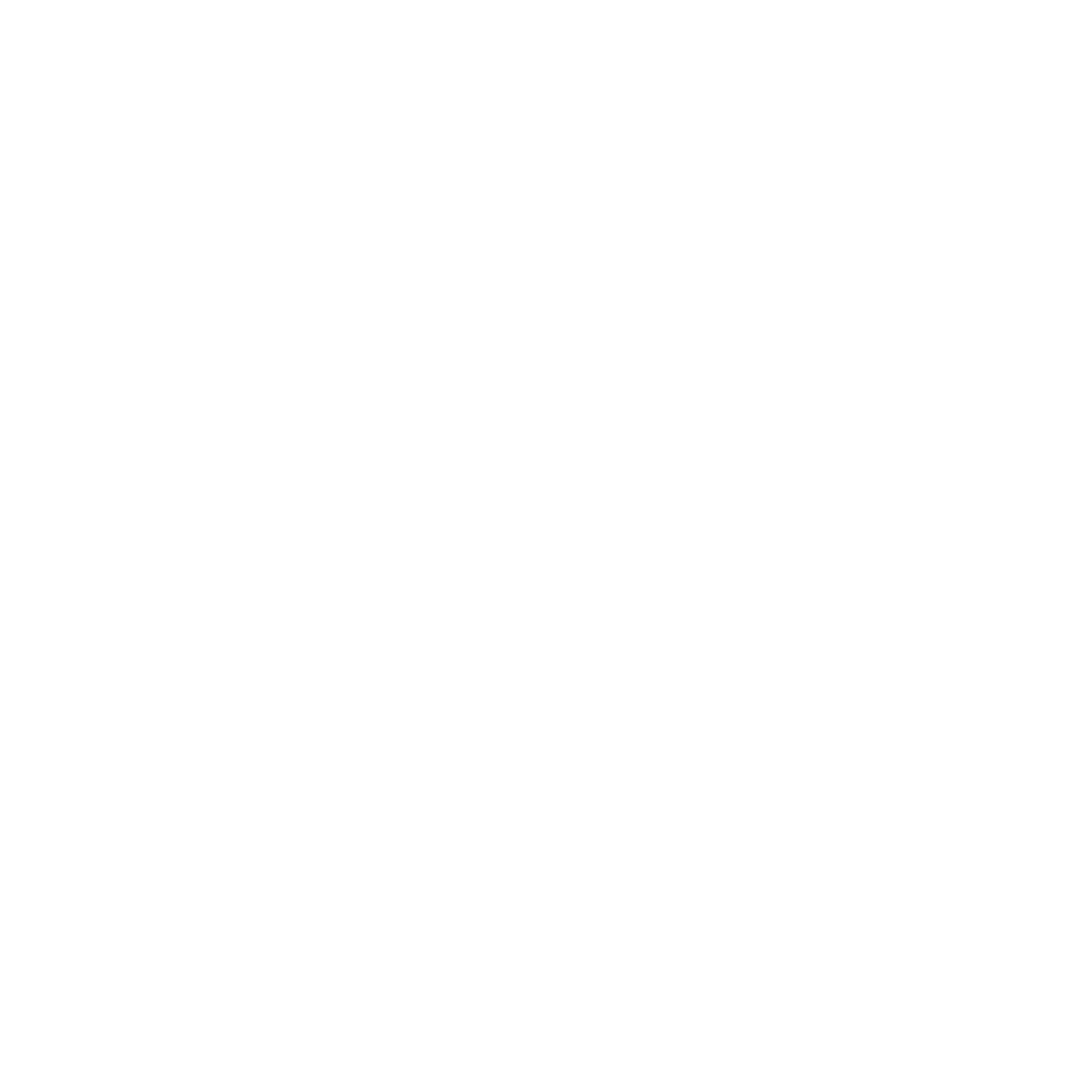 Why Not Africa Tours