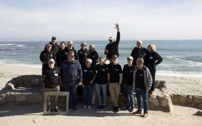 West Coast 7-Night (8-Days) Lodge 4×4 Tour 2027