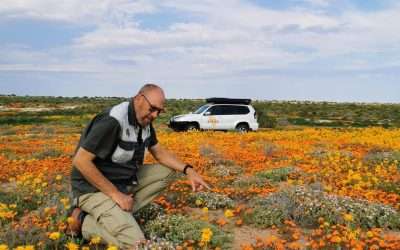 West Coast 7-Day Flower 4×4 Tour 2027