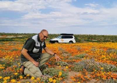 West Coast 7-Day Flower 4×4 Tour 2027